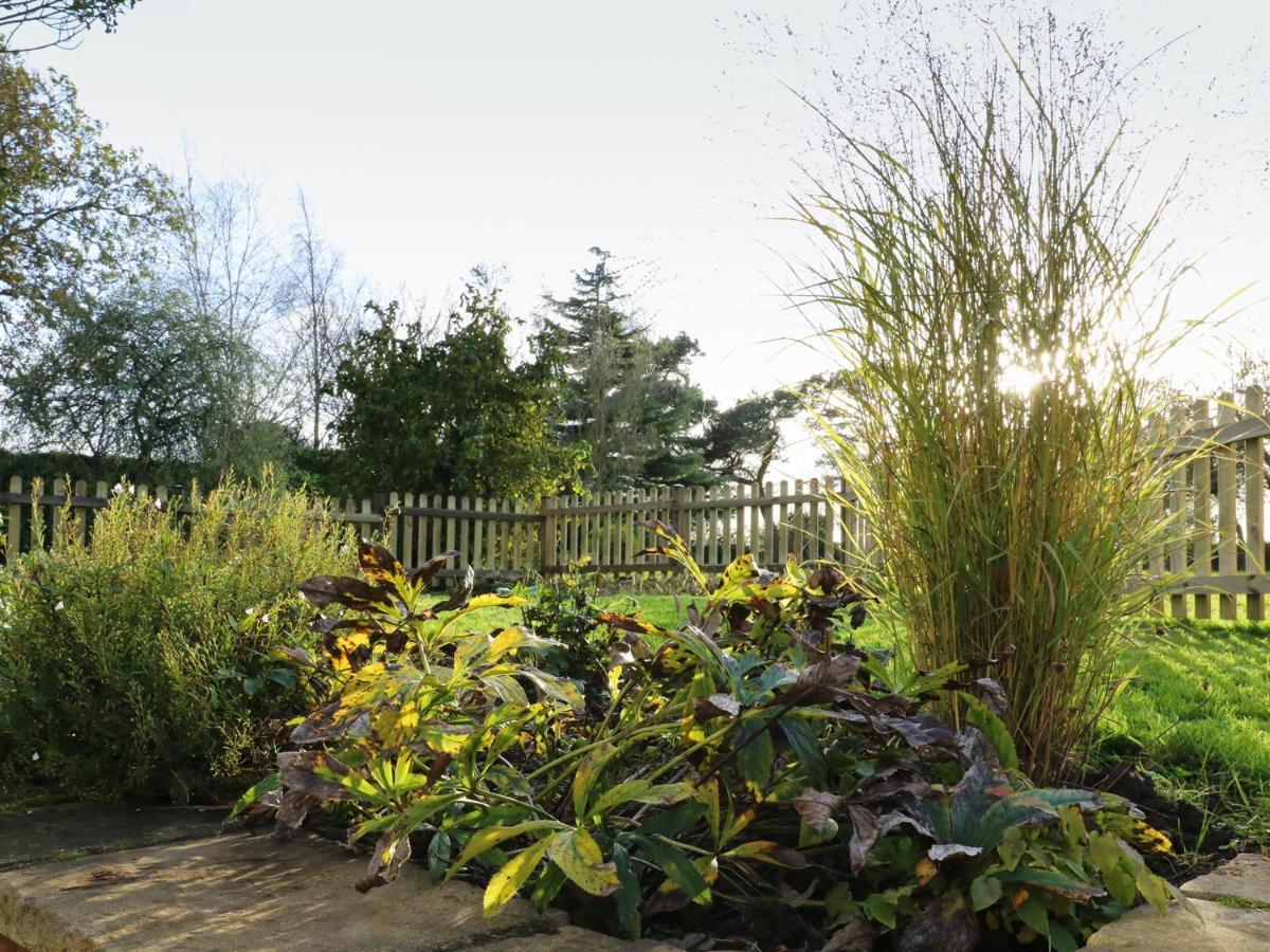 South Lodge Sturminster Newton Bagian luar foto